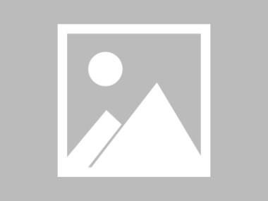 商务服务行业未来，机遇与挑战